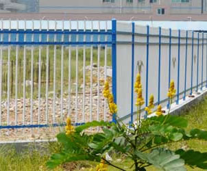 䓽Y����䓊Aо����r